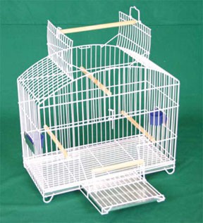 gaiola calopsita mansa